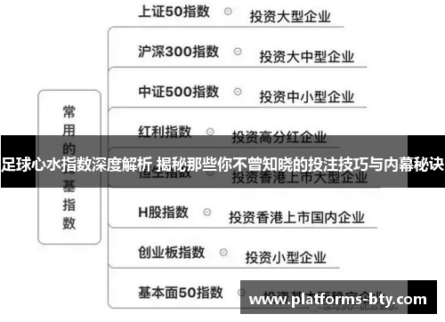 足球心水指数深度解析 揭秘那些你不曾知晓的投注技巧与内幕秘诀