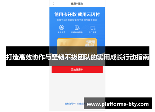 打造高效协作与坚韧不拔团队的实用成长行动指南
