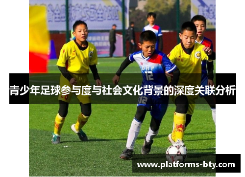 青少年足球参与度与社会文化背景的深度关联分析 青少年足球参与度与社会文化背景的深度关联分析