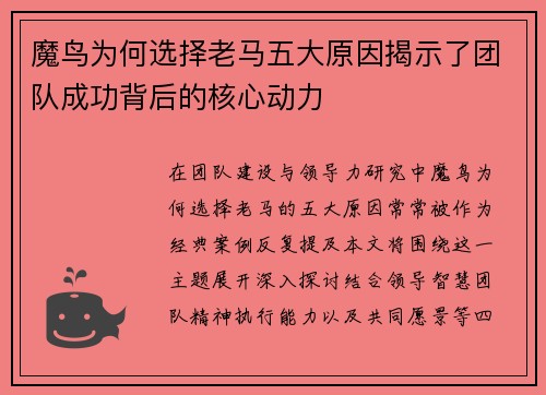 魔鸟为何选择老马五大原因揭示了团队成功背后的核心动力