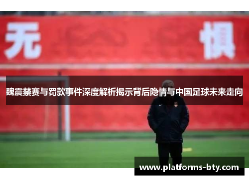 魏震禁赛与罚款事件深度解析揭示背后隐情与中国足球未来走向 魏震禁赛与罚款事件深度解析揭示背后隐情与中国足球未来走向
